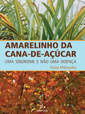 cover image of Amarelinho da cana-de-açúcar